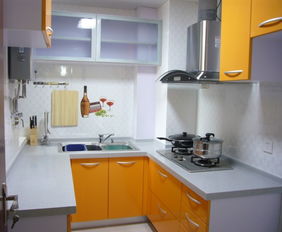 保养秘籍 轻松实现厨卫家电“大护法”，厨房家电维修全攻略